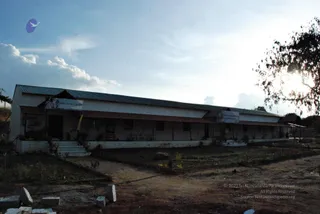 November 20 2008