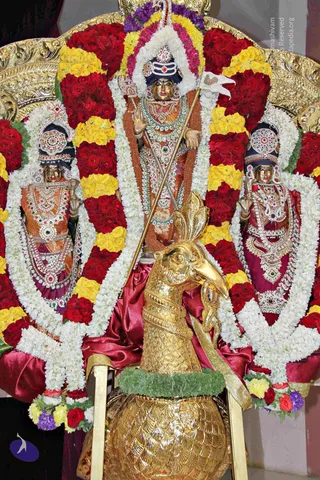 November 06 2013