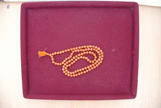 2008 - Nithyananda Galleria