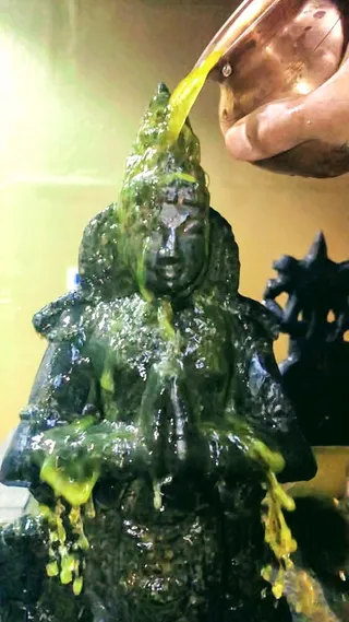 KAILASA SAN JOSE, USA on 5/1/2022