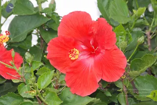 August 25 2009