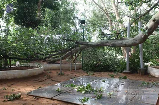 June 05 2010