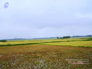 October 27 2006