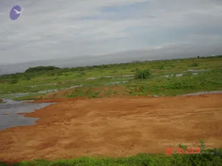 October 29 2006