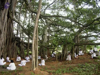 2008 - Glimpses Of Gurukul