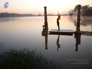 Nithyananda Yoga Poses