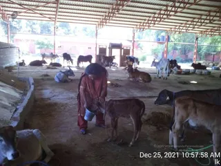 December 25 2021