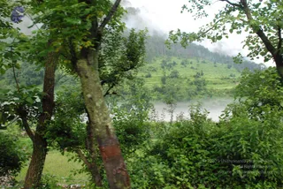 July 02 2008