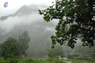 July 08 2008
