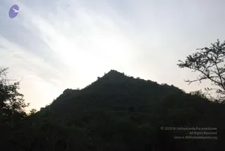 August 08 2009