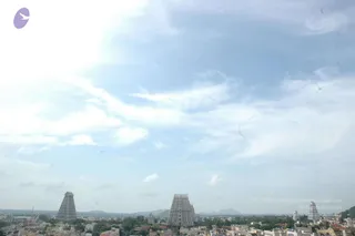 May 20 1989