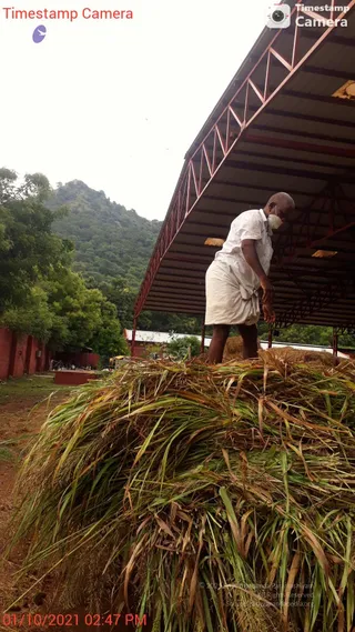 20211001 Tiruvannamalai 144748.jpg