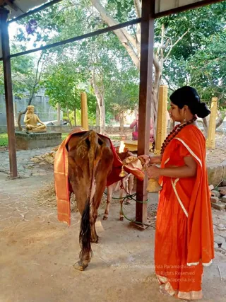 2022-01-24 at 9.35.45 PM 11.jpg