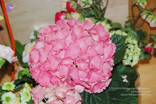 April 23 2006