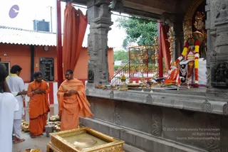 July 21 2010