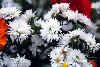 December 16 2010
