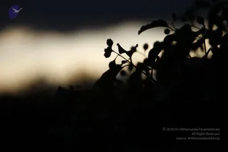 August 10 2011