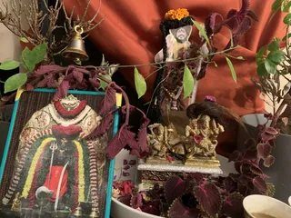 KAILASA LATIN AMERICA on 11/5/2021