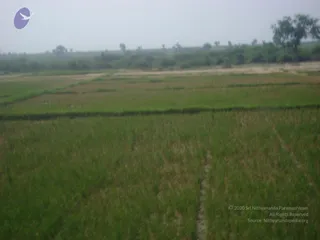 September 2006 - Sindhanur flood relief