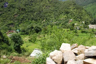 July 07 2008