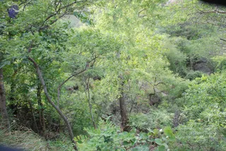 August 03 2008