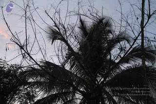 September 09 2011