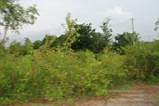September 06 2017