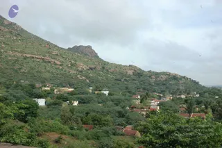 May 20 1989