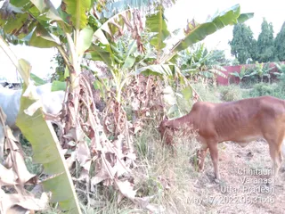 Photo 8292110