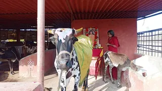 Jan 4 2022 sripuram