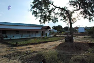November 20 2008