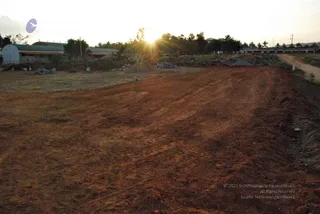 November 20 2008