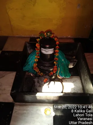 KASHI SARVAJNAPEETAM on 3/19/2022