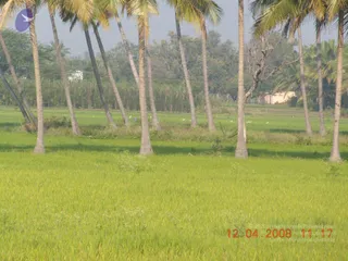 February 10 2009