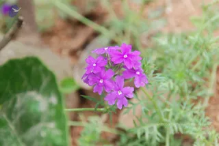 July 08 2010