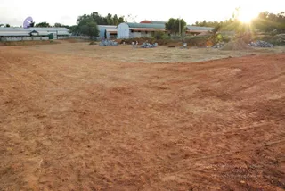 November 20 2008