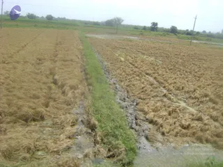 September 2006 - Sindhanur flood relief