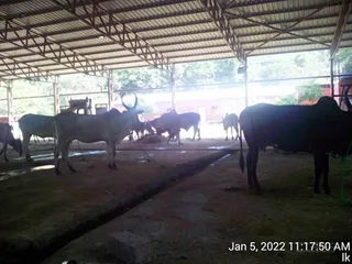 January 05 2022