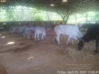 April 29 2022