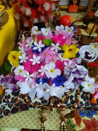 Photo 9916595