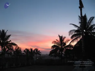 February 23 2008
