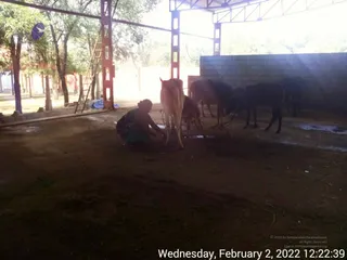 February 02 2022