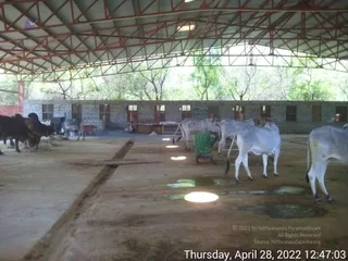 April 28 2022