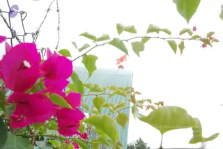 July 08 2010