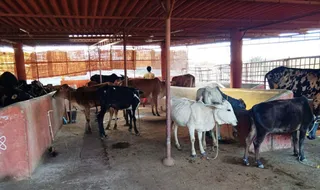 Jan 23 2022 sripuram