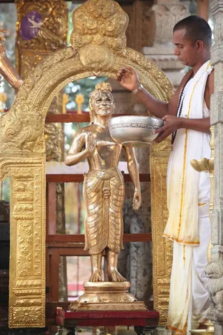 20111228 Photo 1311 1 18H3KWDJXTItpNB3U5QbjmZNHI-2KO8.JPG
