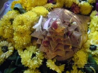 2011 -eNMiracles Collections