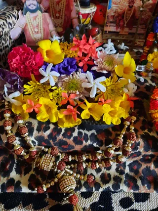 Photo 9916656