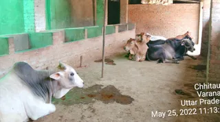 KASHI SARVAJNAPEETAM on 5/25/2022