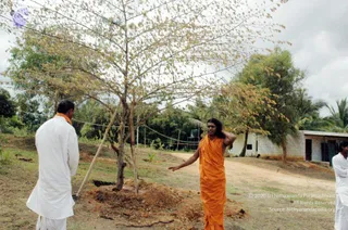 September 19 2006